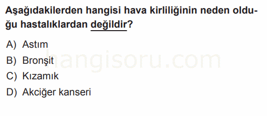 Soru 4