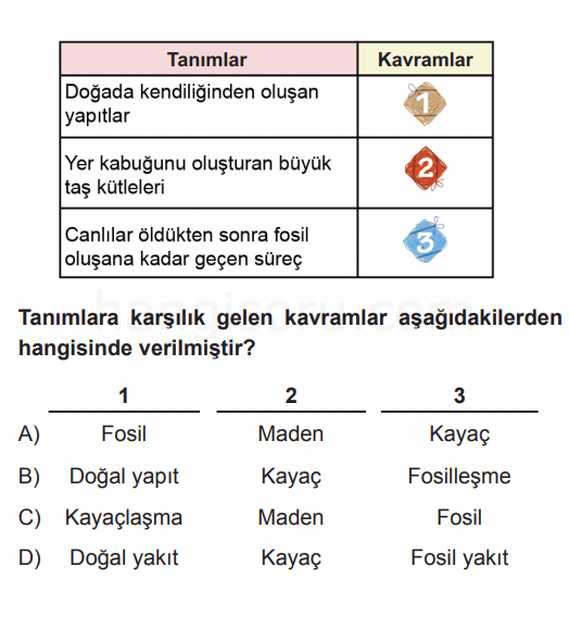 Soru 7