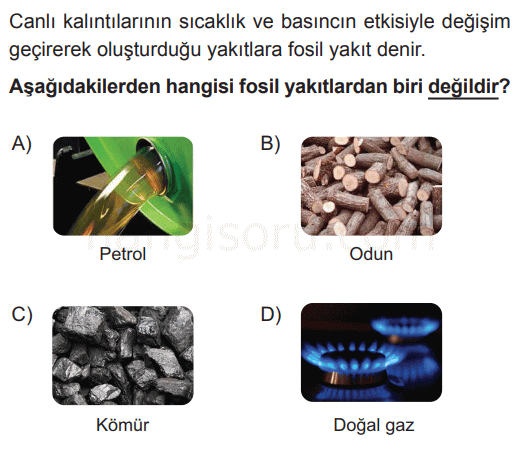 Soru 10