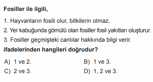 Soru 11