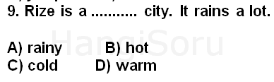Soru 9
