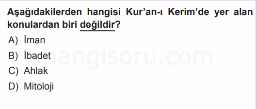 Soru 1