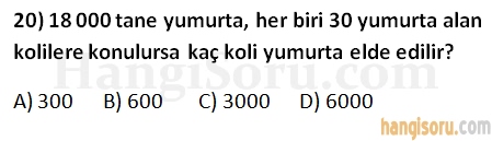 Soru 20