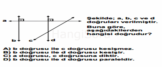Soru 12