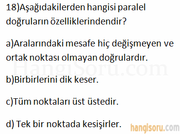 Soru 18