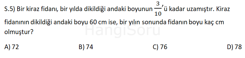 Soru 5