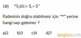 Soru 18