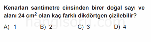 Soru 11