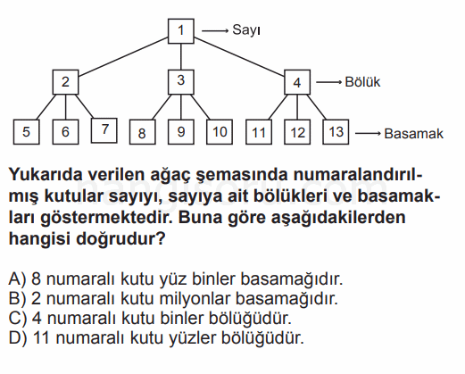 Soru 5