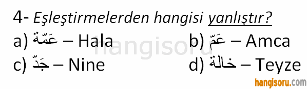 Soru 4