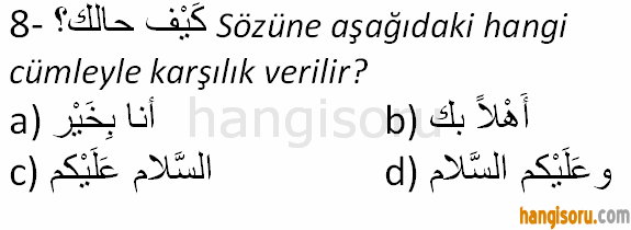 Soru 8