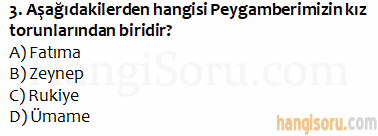 Soru 3