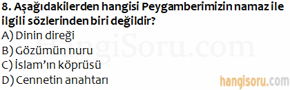 Soru 8