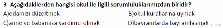 Soru 3