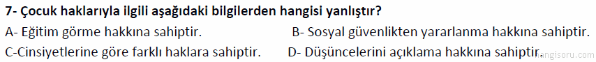 Soru 7