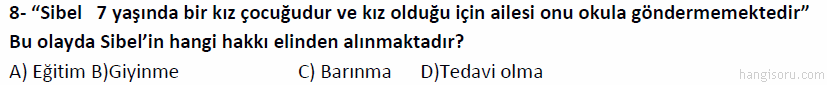 Soru 8