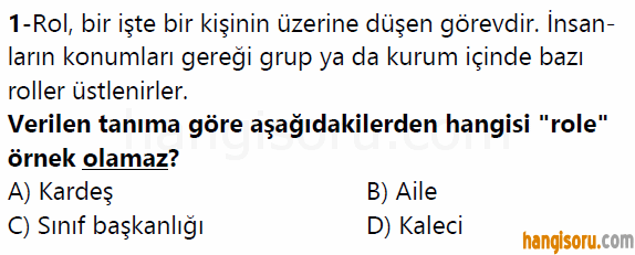 Soru 1
