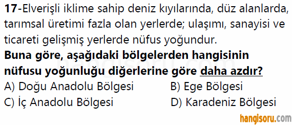 Soru 17