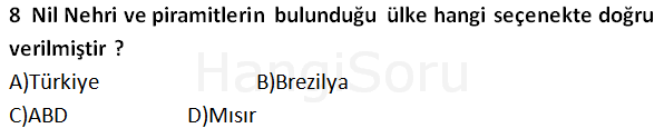 Soru 8