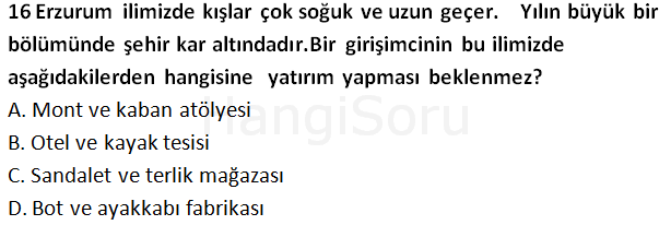Soru 16