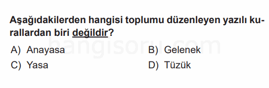 Soru 3