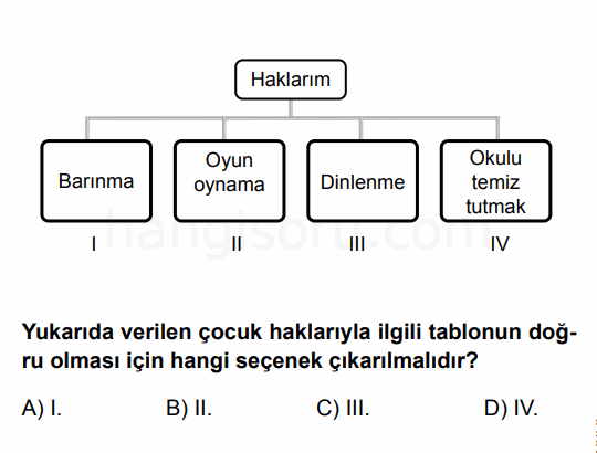Soru 1