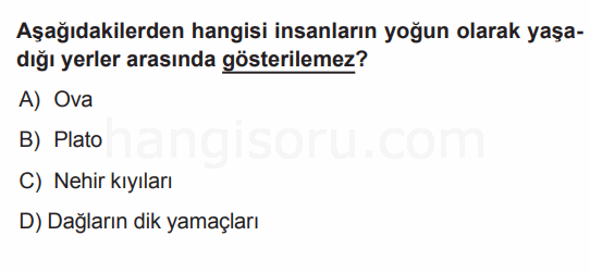 Soru 3