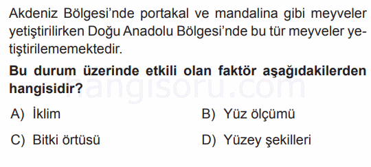 Soru 7