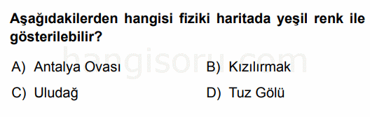Soru 5
