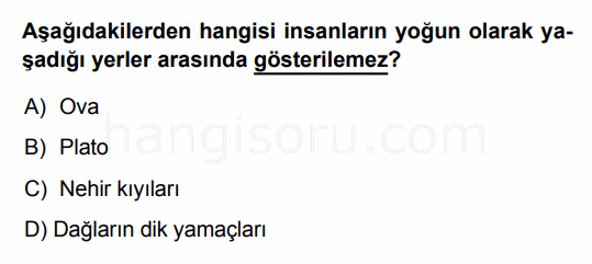 Soru 5