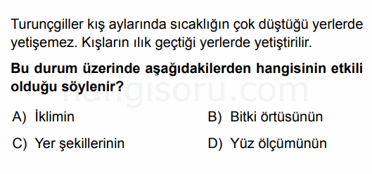 Soru 8