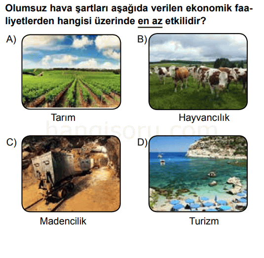 Soru 10