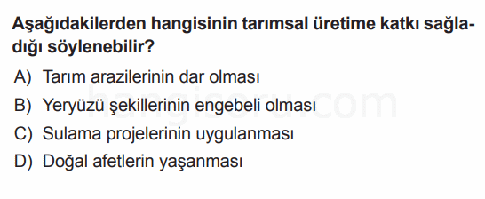 Soru 1