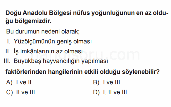 Soru 6
