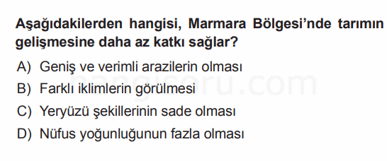 Soru 8