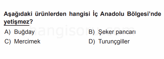 Soru 9