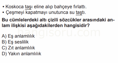 Soru 2