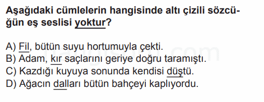 Soru 4