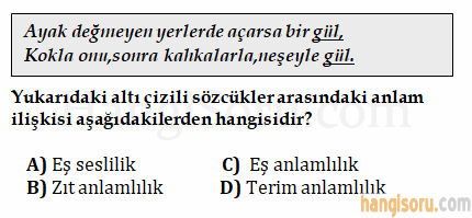 Soru 2
