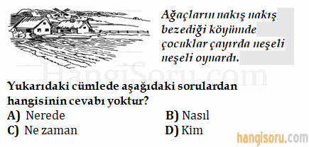 Soru 5