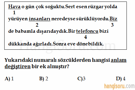 Soru 18