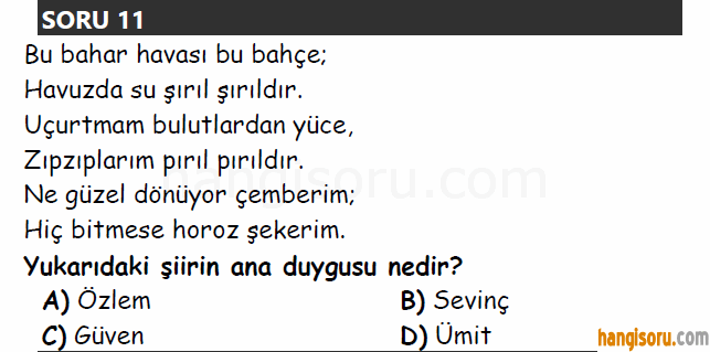 Soru 11