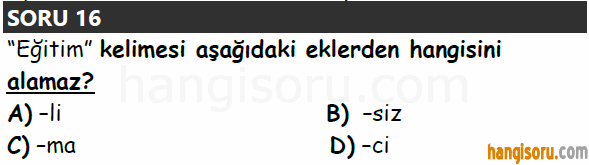 Soru 16