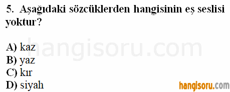 Soru 5