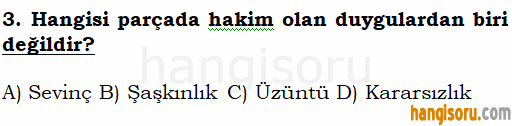 Soru 3