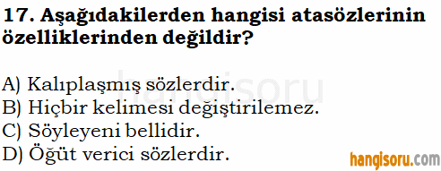Soru 17