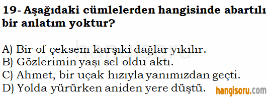 Soru 19