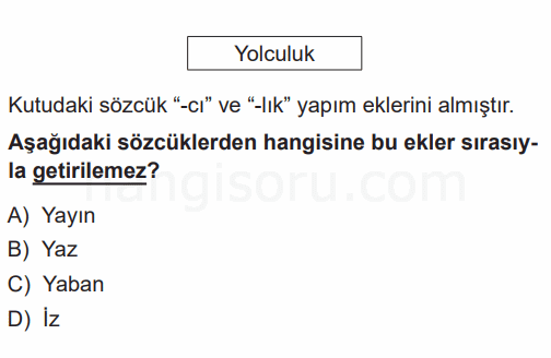 Soru 1