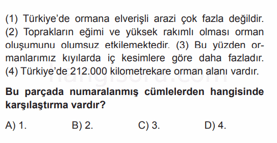 Soru 5