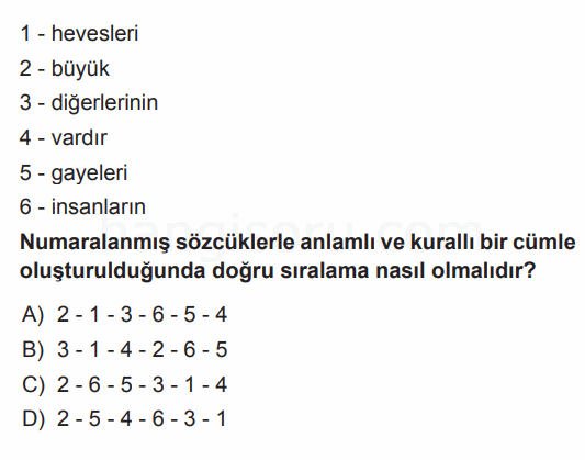 Soru 7